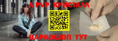 стаф Гай