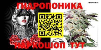 стаф Гай