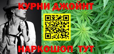 стаф Гай