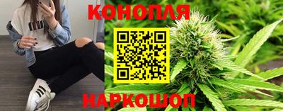 стаф Гай