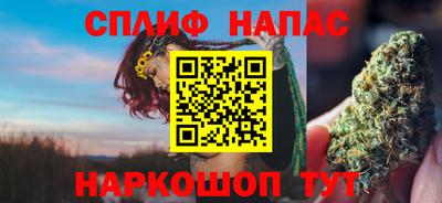 стаф Гай