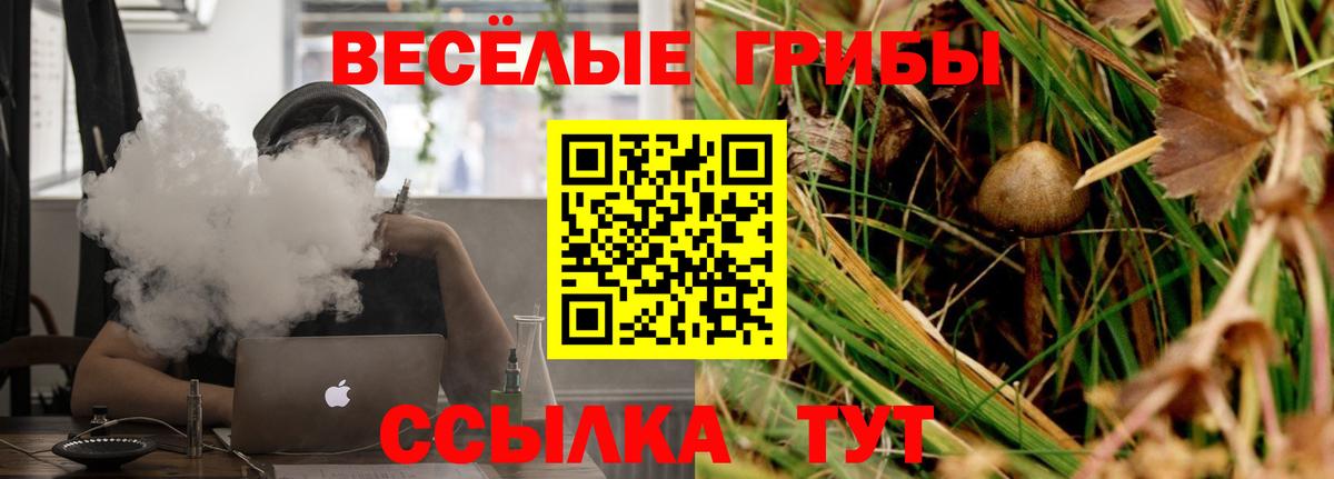 Псилоцибиновые грибы Cubensis  Вход с VPN  Можайск 